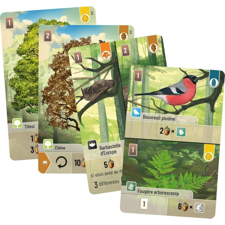 Forêt Mixte - Jeu de société