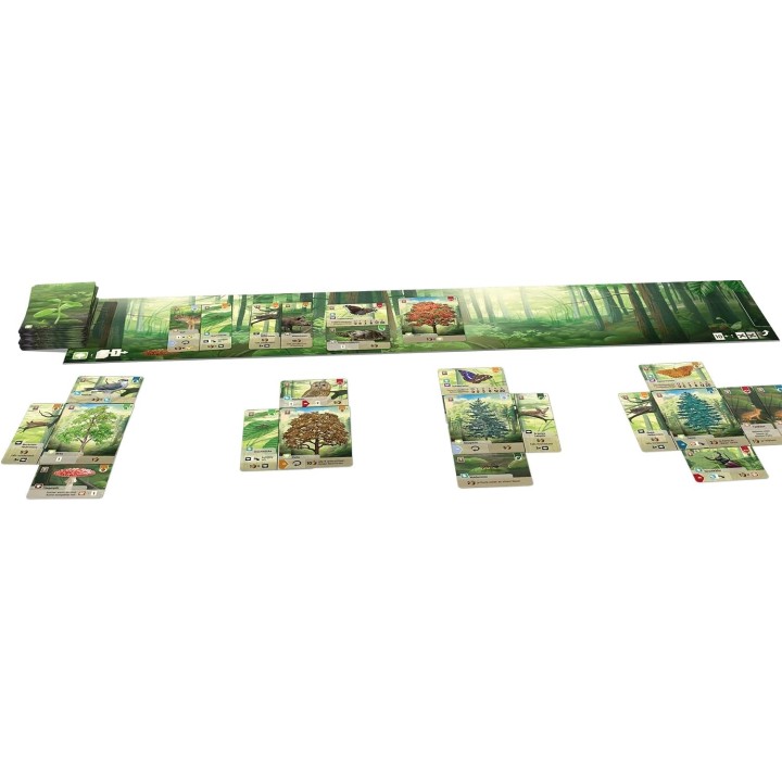 Forêt Mixte - Jeu de société